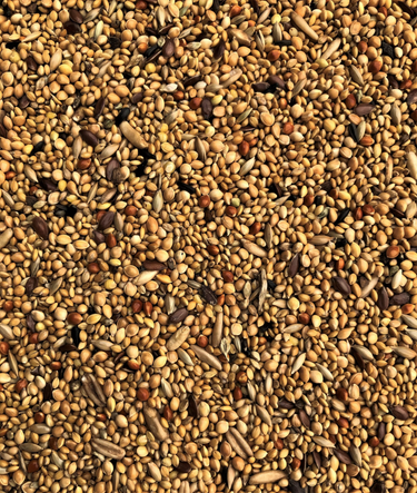 Exotic Mix 20 KG